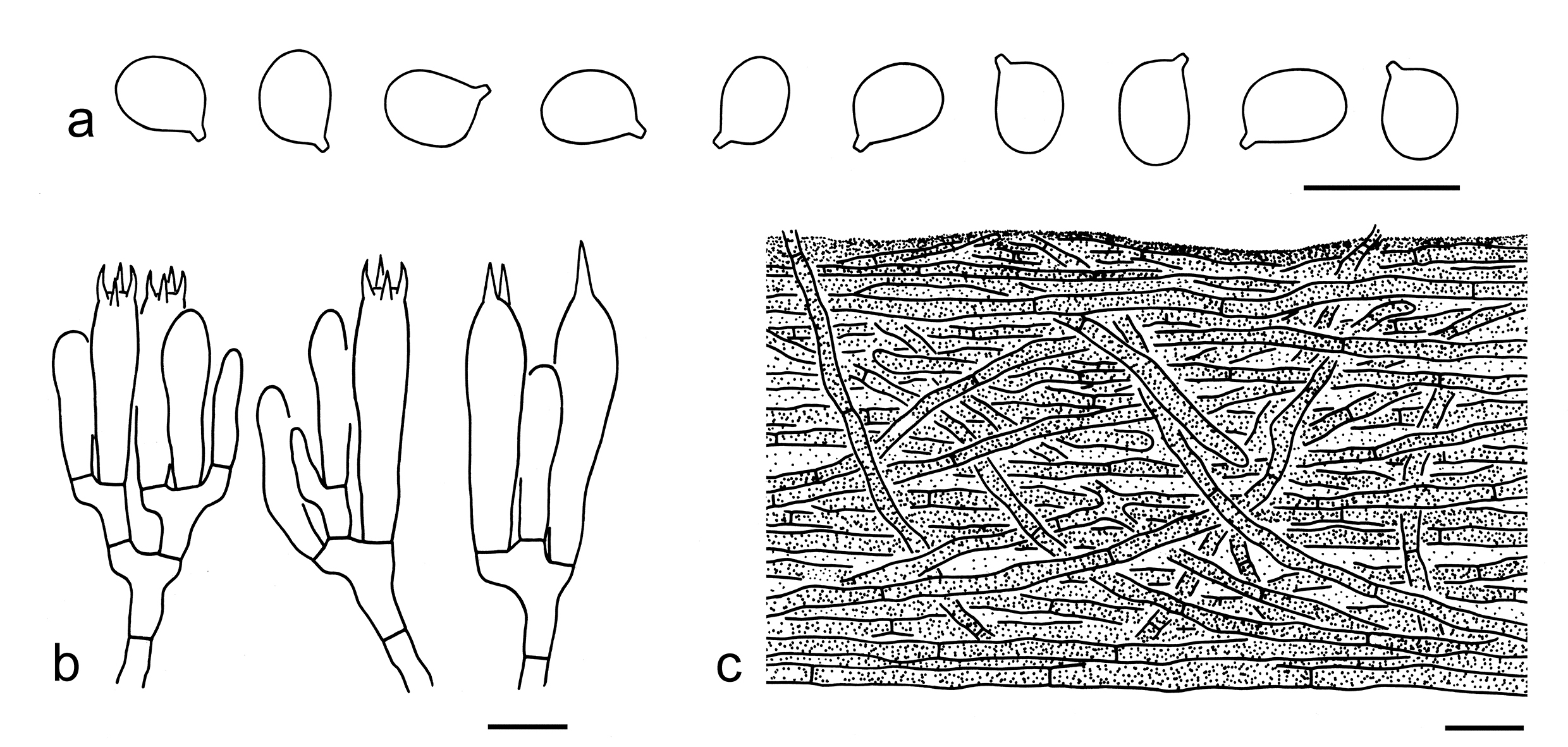 Figure 58